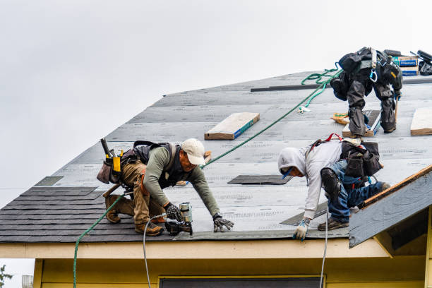Professional Roofing technician working in Fall Creek, OR